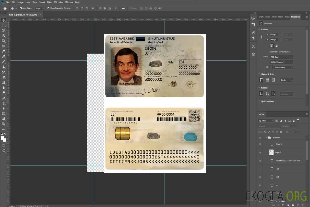 Modèle d'identification d'Estonie au format PSD, entièrement modifiable (2018 – présent) template